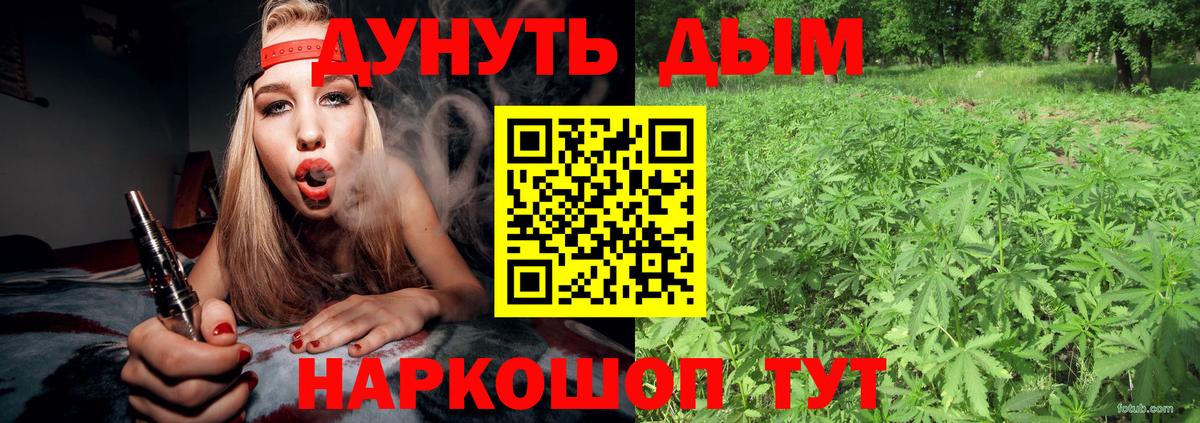 Бошки Шишки Amnesia  Вход с VPN  Зерноград  Каннабис планчик  Марихуана ГИДРОПОН 